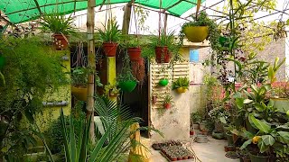 Autumn Season Is Now Start || How to Protect Plants in Autumn Season
