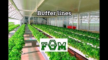 FGM buffer lines