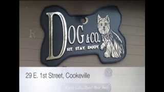 Dog & Company in Cookeville