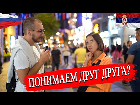 Понимают ли сербы русский язык? | Сходства между русским и сербским языками