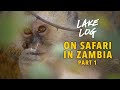 Episode 32: On Safari in Zambia, Part 1