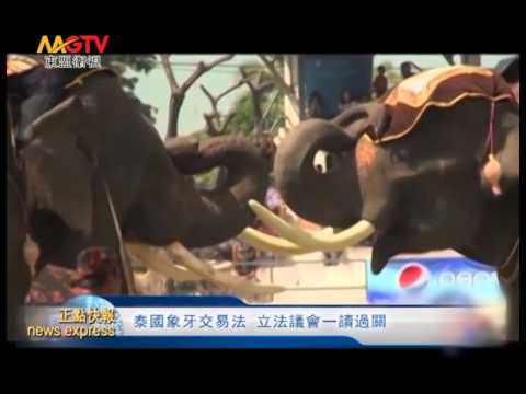 MGTV：泰國象牙交易法 立法議會一讀過關