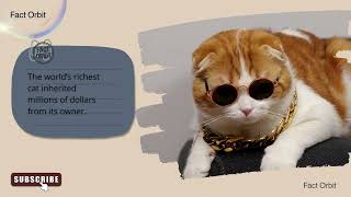 Mind Blowing Facts About Cats.