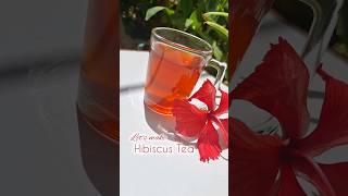 VIRAL Hibiscus Tea🌺  #ytshorts #yt #viral #drinks #tea #hibiscus tea #asmr screenshot 5