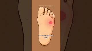 arti kedutan ditelapak kaki kiri atas sisi kanan #shortfeed #shortvideo #shorts #primbonjawa