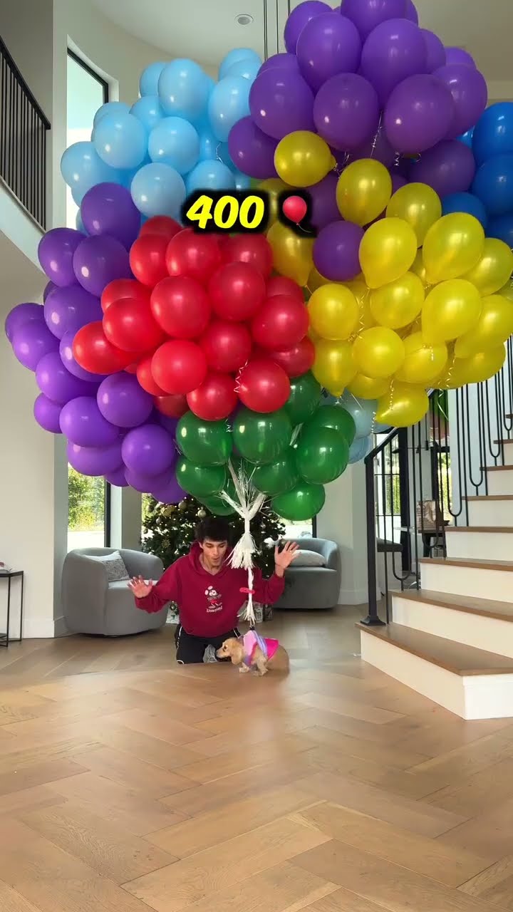 How many balloons to make a puppy float? ?