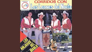 Cachas De Oro