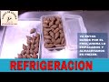 REFRIGERACION DE QUIPE, QUIBE, KIPE | CURSO DE COCINA MI NEGOCIO EN CASA