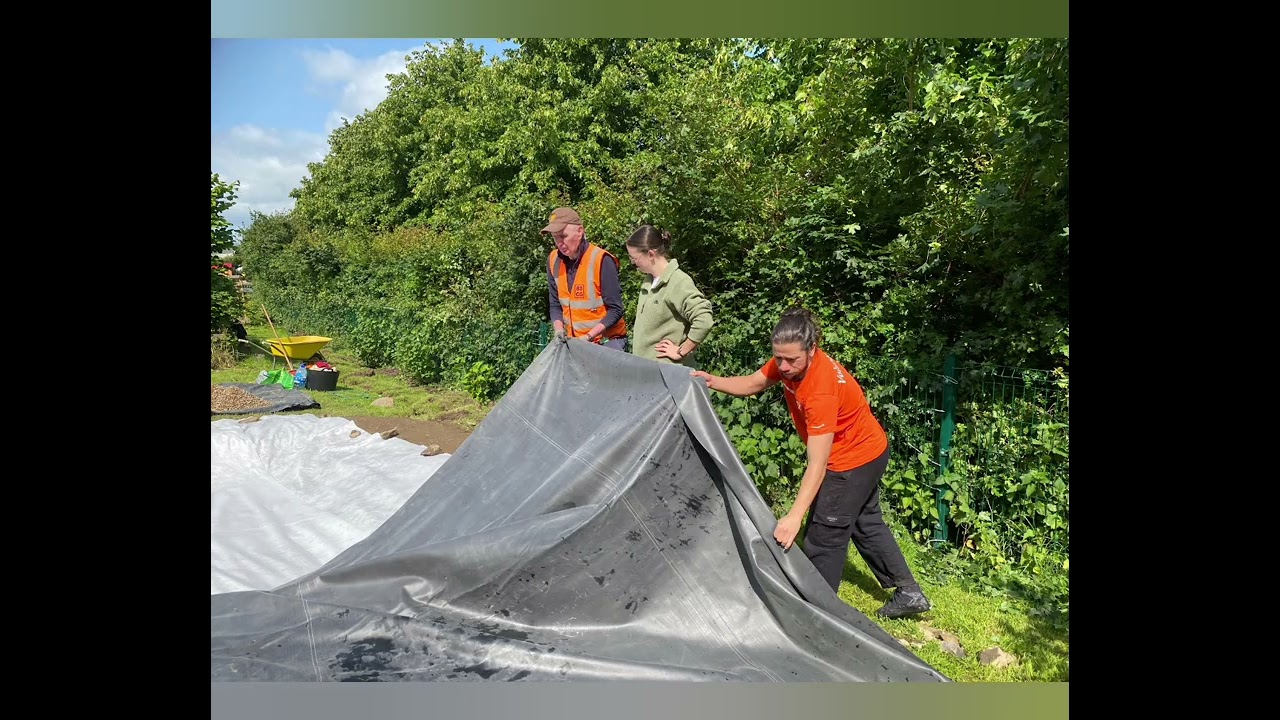 How to Create a Wildlife Pond - Dublin June 2025
