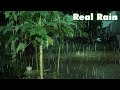 Special Rain Sounds & Heavy Thunder for Insomnia - Torrential Rain for Satisfying Sleep, Relax ASMR