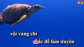 Karaoke_3D_Cô Bé Có Chiếc Răng Khểnh