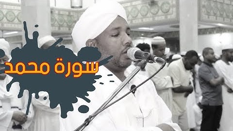 تلاوة هادئة وممتعة للشيخ الزين | سورة محمد كاملة من التراويح 💜 🎧
