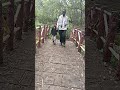22 दिसंबर 2025