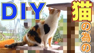 まりもの為に猫の好きなアレを手作りしてみた！！