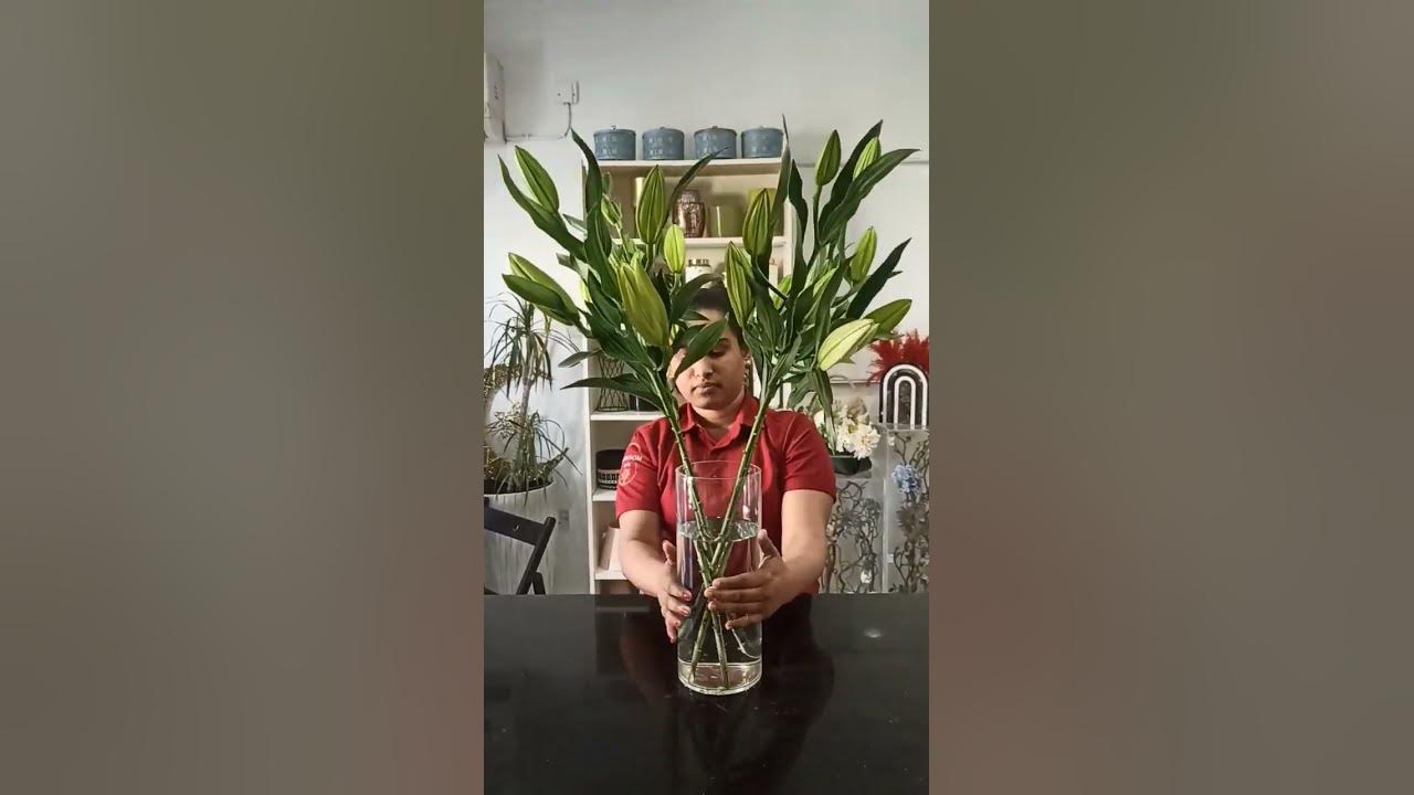 #lily #white #fresh #flowers #viral #short