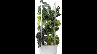 Gardyn Hydroponic System Algae Hack Simple No More Algae Fix.