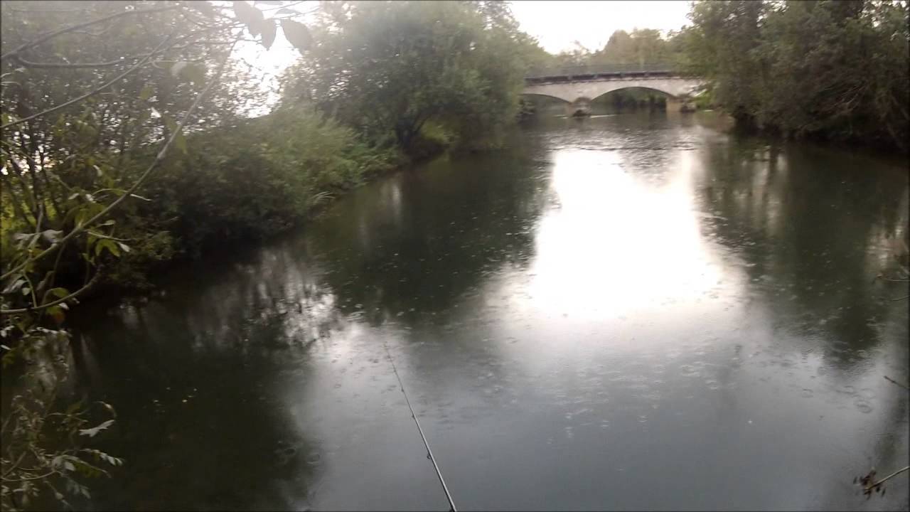 Illex Chubby Minnow 35 SP Wobbler 3,5cm - NF Ayu - 2,3g - 1Stück
