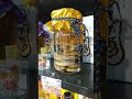 沖縄県産のハブ酒