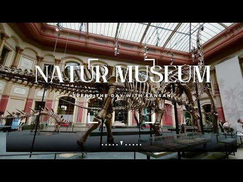 Video: Pameran Museum Darwin yang menakjubkan