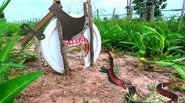 Amazing snake trap - it