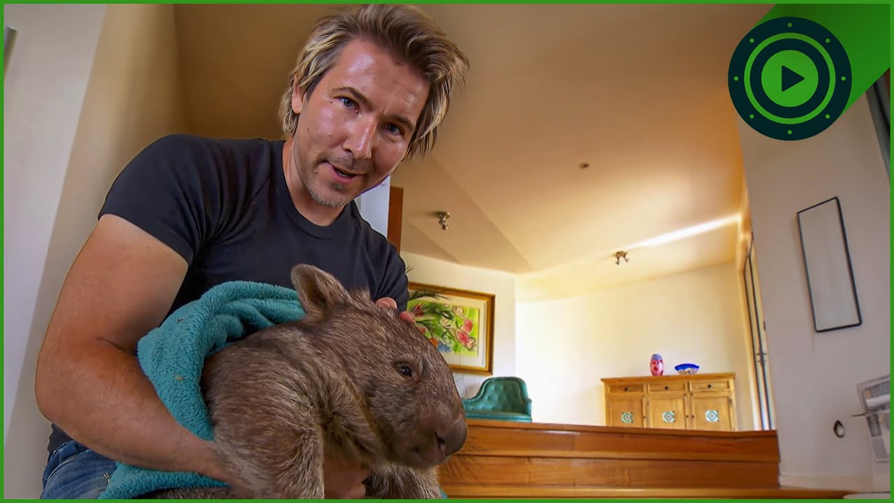 How 2,000 Animals Changed One Man’s Life Forever