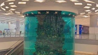 World Biggest Airport Aquarium #Jeddah #SaudiArabia