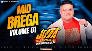 MID BREGA VOLUME 1 DJ JOTA SAUDADE I DJ JOTA SAUDADE 2026 I AS MELHORES DO BREGA SAUDADE MARCANTES