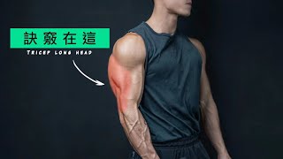 增粗手臂｜撐爆袖管 訣竅都在這！ 【Erik埃里克】