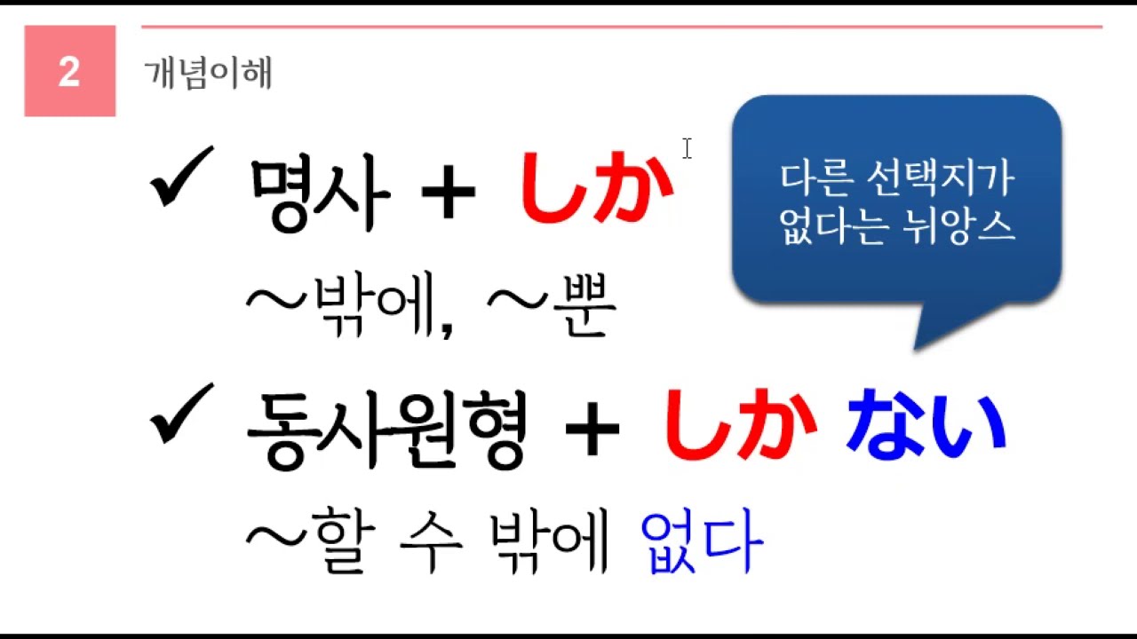 독학 일본어 [초급 4] 알아두면 좋은표현 しか 심화