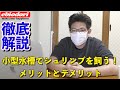 小型水槽でシュリンプを飼う！メリットとデメリット（アクアリウム）