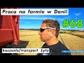 Praca na farmie w Danii #68 | Work on the farm in Denmark #68