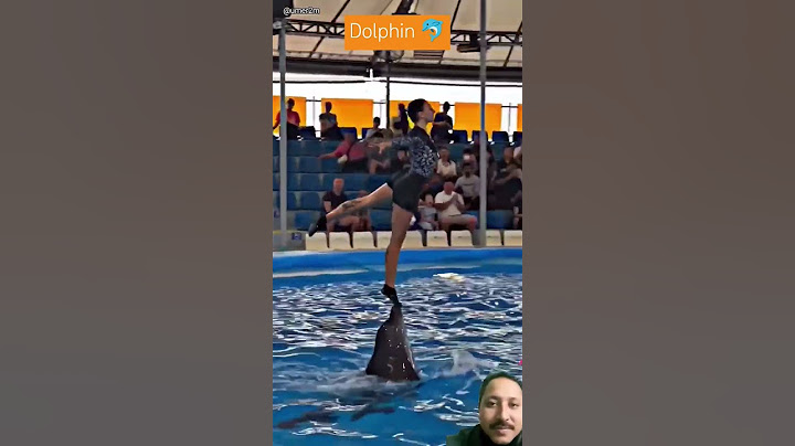 Jab Dolphin trick me hui Garbad #dolphin #swimming #amazing #ludolivegame #sports #shortsviral