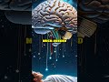 ELI5: Why Do We Need Sleep? 🤔