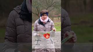 Co Vysévat Už V Únoru?