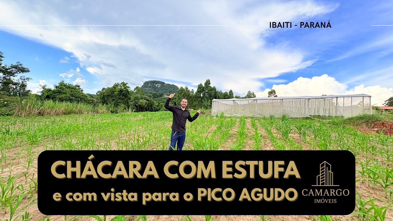CHÁCARA COM ESTUFA E POÇO ARTESIANO DE FRENTE PARA O PICO AGUDO EM IBAITI -  PARANÁ - R$260 mil