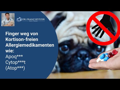 Video: Wird Cytopoint meinen Hund schläfrig machen?