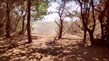 Landscape Dynamics: Patches and Borders