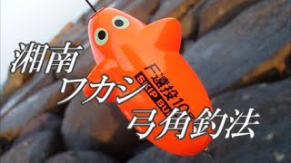 イナダの釣り方ガイド 気になるシーズンから釣れる仕掛けやタックルをご紹介 暮らし の