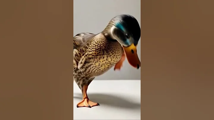 #aiduck #the #2025
