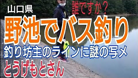 釣り坊主vlog Youtube