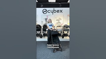 Прогулочная коляска Cybex Coya