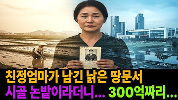 친정엄마가 남긴 낡은 땅문서 시골 논밭이라더니, 알고보니 300억짜리…