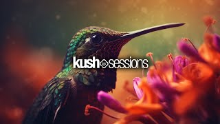 #245 KushSessions (Liquid Drum & Bass Mix) screenshot 3