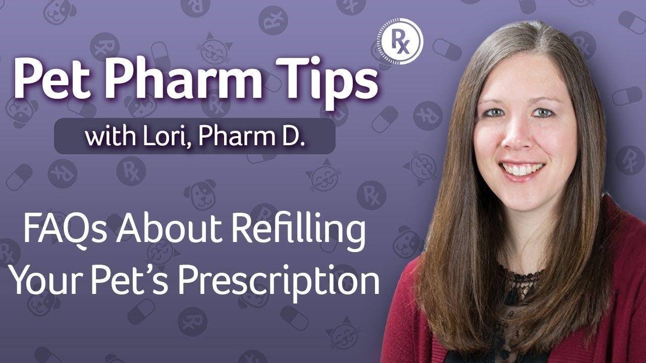 Pet Pharm Tips: FAQs About Refilling Your Pet's Prescription