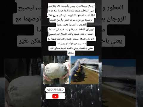 زوجان بريطانيان جيري وأنجيلا كانا يتنزهان على الشاطئ عندما شم ا رائحة غريبة مصدرها كتلة تشبه الصخر