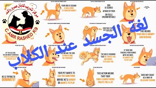 لغة الجسد عند الكلاب - dog body language - كابتن عمرو راشد- تدريب 11- reaction screenshot 4