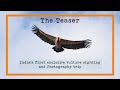 Indias first vulture sighting tour  teaser  the last vulture