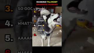 Famous RANKING The MOST DRAMATIC HUSKIES! 🐺😂 #shorts Wealth