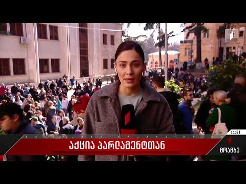 აქცია პარლამენტთან - აქციის მონაწილეები პლენარული სესიის დაწყებას ელოდებიან