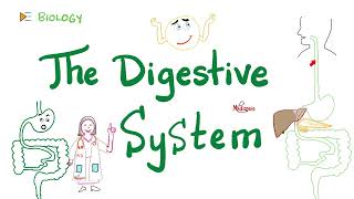 The Digestive System 🍲 🤢 🤮   (Gastrointestinal Biology) | Introduction